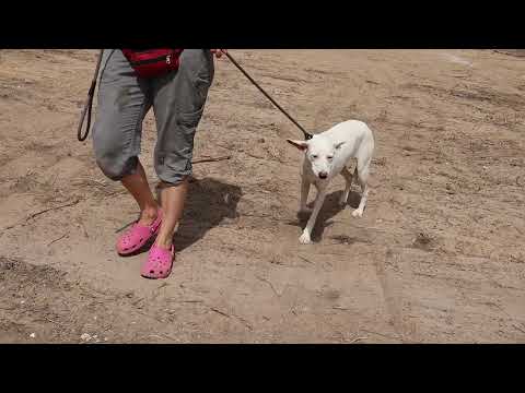 Vídeo de MARIANA