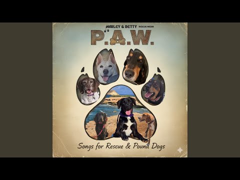 Black Dog (Melancholy Mix)