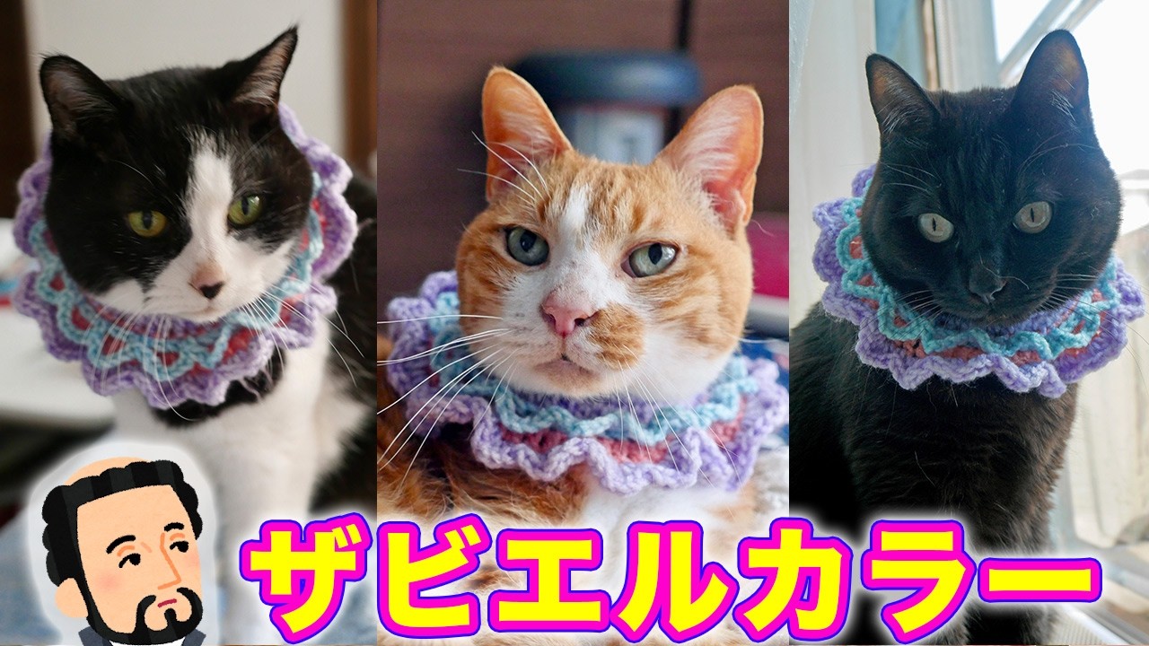 2026ｰ03−29  保護猫たちの「ほっこり猫ライブ」ハッチ＆マック＋黒猫めめ＋がんサバイバーママ Cat live Stream in Japan -Cat Life TV