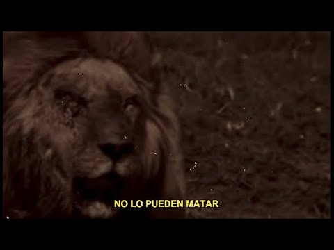 ⁠RVKELI ft. POLICARPO - ORGULLO @Geckodelarue @NSC.DANI. @RandaOffensiveBrand