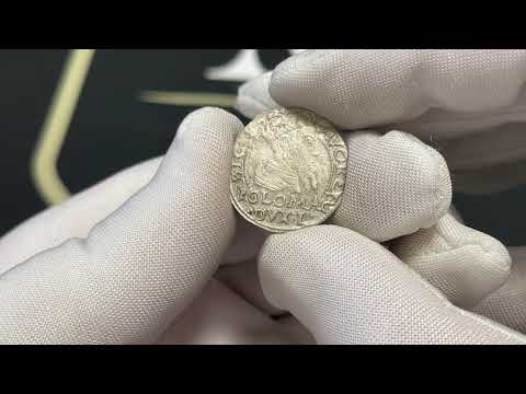 Zygmunt II August, Grosz na stopę polską Tykocin 1566 - BARDZO RZADKI, Jastrzębiec