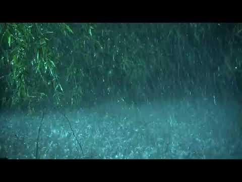 Beat Tinnitus with Heavy Rain on Lake, Calm Thunder in Deep Forest - Real Rain Sounds for Sleeping