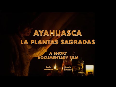Ayahuasca - La Plantas Sagradas - A Short Documentary Film [English]