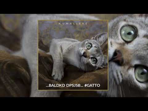 #GATTO - KUMALIBRE - PROD - RHAMEZ IL GATTARO