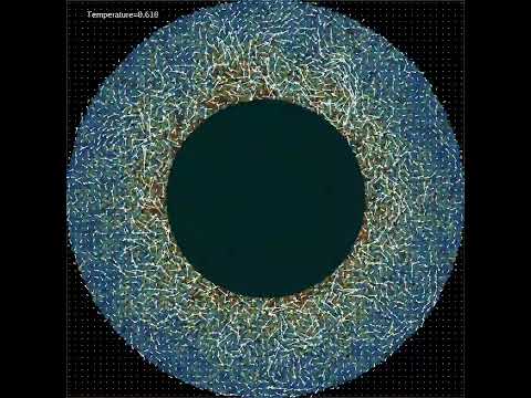 基礎理工学科 Simulation of Rayleigh-Benard convection in annulus region #chaos #physics #moleculardynamics