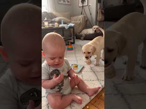 The little one is so cute. #dog#baby#warm