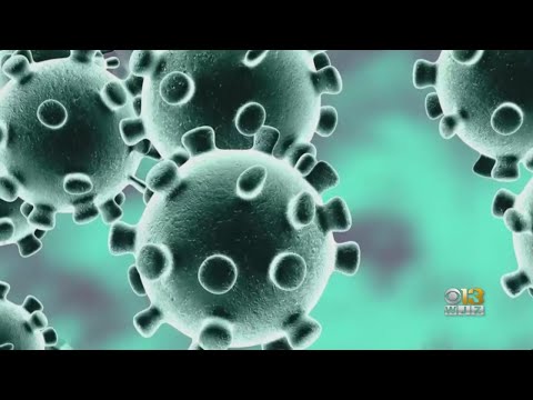 The Symptoms Of Coronavirus And What To Do If You Feel Sick