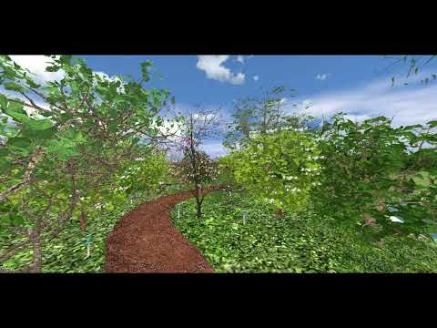 Recorrido por sendero virtual del Parque Natural "La Cantera" de Playa Hermosa, Maldonado, Uruguay.