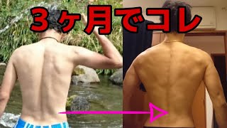 初心者必見！！背中を逆三角形にする方法とは