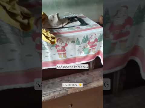 Forte Chuva na cidade de  São João da Ponte Causou muitos prejuízos. INSCREVA-SE