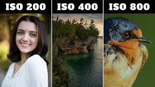 Discover Which ISO To Use & When