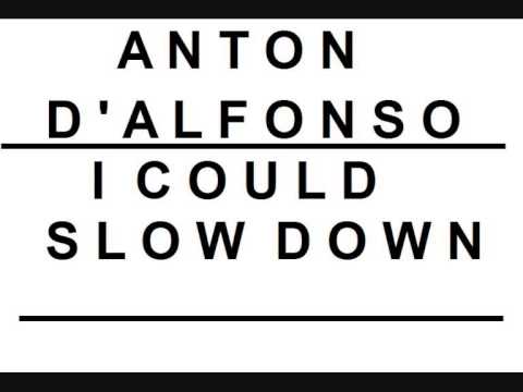 Anton D'Alfonso I Could Slow Down (Avicii vs Selena Gomez)