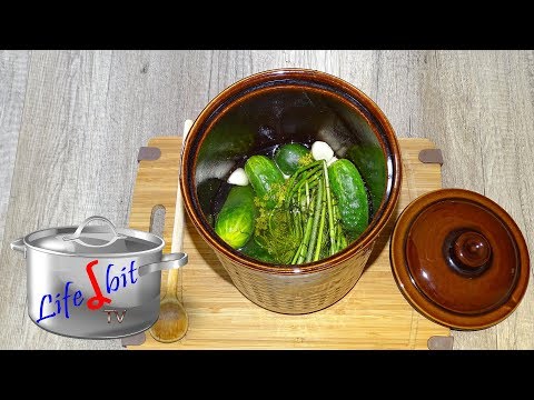 Salz-Dill-Gurken selber einlegen