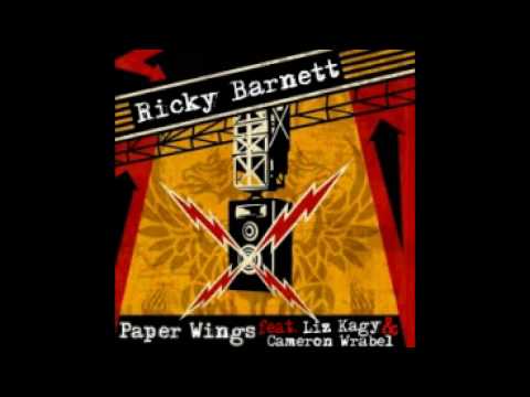 Paper Wings (Acoustic Rise Against Cover)