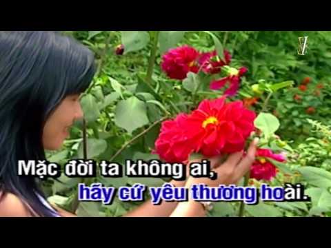 KaraOke LK Tôi Muốn Yêu Đời & Yêu Người  | Elvis Phương | Beat Gốc Chuẩn HD |