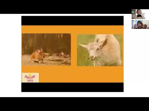 Ms. Penny's Speech Class: Animal noise choice board