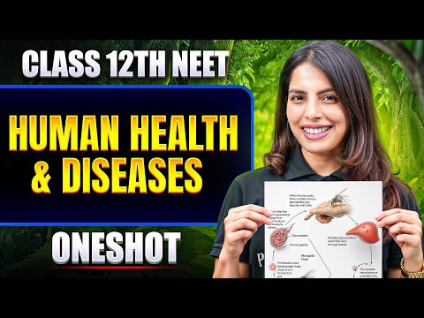 Human Health & Diseases in ONE SHOT | All Concept & PYQ | Basics to Advanced | Class 12 NEET