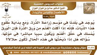 [2549 -3022] نبات إذا أكلت منه الغنم فإنه يمسك في حلقها حتى تموت فهل تحل إذا ذبحت في هذه الحال؟ image