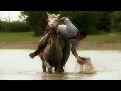 Mi Caballo y yo - Cholo Valderrama