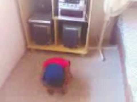 mc guime plaque de 100 com pedrinho marley