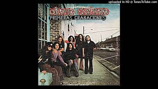 Lynyrd Skynyrd early Skynyrd - Wino