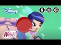 Winx Club | Zorgen Voor de Feeëndieren | Disney Channel NL
