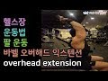 바벨 오버해드 익스텐션(barbell overhead extension), 바벨운동, 삼두운동, 팔운동, 운동, 헬스장 운동[건디ROY]