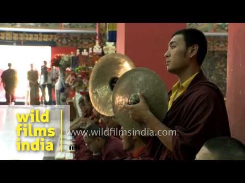 Monks offering evening prayer to Lord Buddha at Mindrolling Monastery