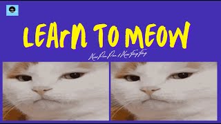 Download lagu Learn to Meow by Xiao Pan Pan & Xiao Feng Feng mp3 Download lagu Learn to Meow by Xiao Pan Pan & Xiao Feng Feng mp3