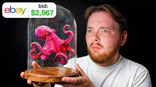 I Bid on 100 eBay Auctions… this is what I won