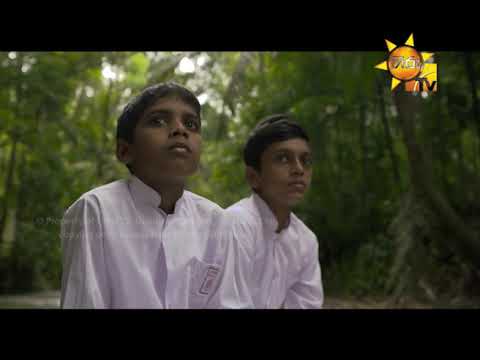 Hiru TV
