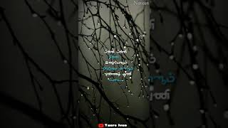 Download lagu Pinni Pinni Chinna ilaiyoram song/old hits /WhatsApp Status video/Tamil lyrics video/Yaaro Ivan mp3