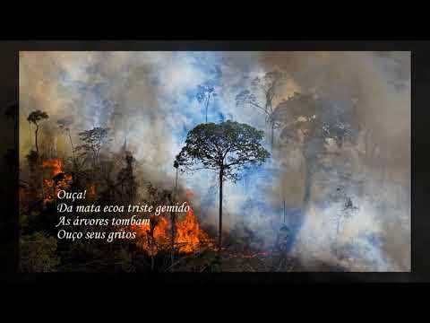 Porcelana - Pedro Dimas