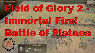 Field of Glory 2 - Immortal Fire - Battle of Plataea