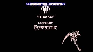Assemblage 23 &quot;Human&quot; (metal cover by RoseScythe)