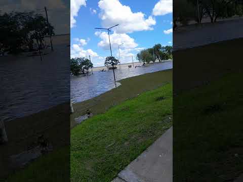 creciente del rio parana camping isla del cerrito chaco😞🤯
