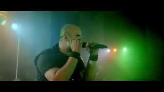 Purple Tree | 'Perfect Strangers'