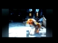 Sesame Street Walking The Dog
