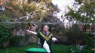 BUDGIE U.K. Make Me Happy