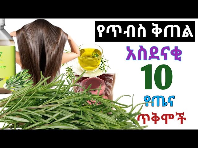 The health benefits rosemary The health benefits rosemary