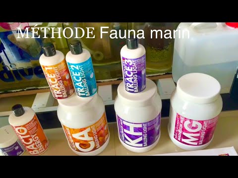 Paulo nous explique sa méthode balling  fauna marin