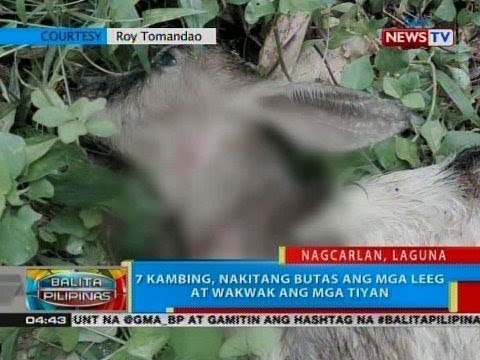 Bakit dapat mawala ang timbang Video sa kung paano alisin ang taba mula sa panig ng likod