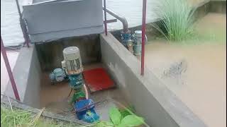 High Floud in 37 WTP during heavy rainy season Guwahati