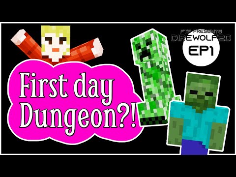 First Day Dungeon?! EP1 Direwolf20 1.16 Modpack Let's Play