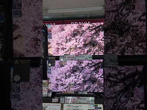 Sony Mini.LED TV vs OLED