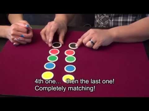 ESP Chip-Sational (Color Chips) by Viking Mfg.