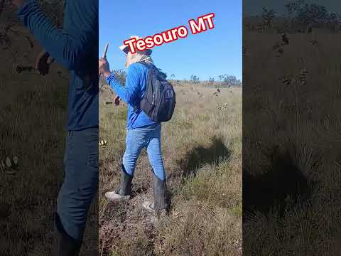 VENHA PARA TESOURO MATO GROSSO