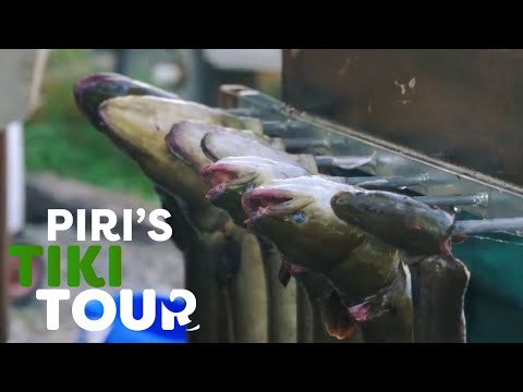 All you need to know about Eeling - Piri's Tiki Tour - S1 Ep 2