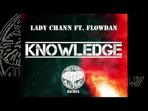 Lady Chann Feat. Flowdan - Knowledge (SKG'S Dub Alliance Remix)