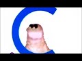 Sesame Street C Is For Cookie In G Major